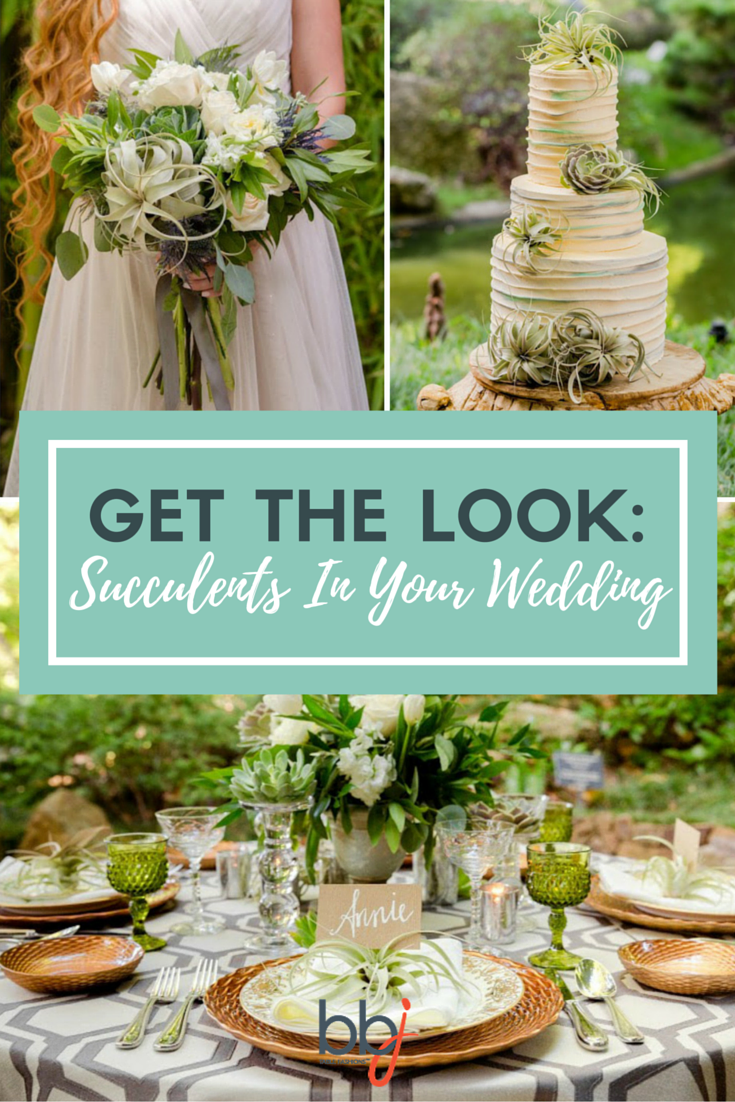 Get The Look: Featuring Succulents In Your Wedding | BBJ Linen