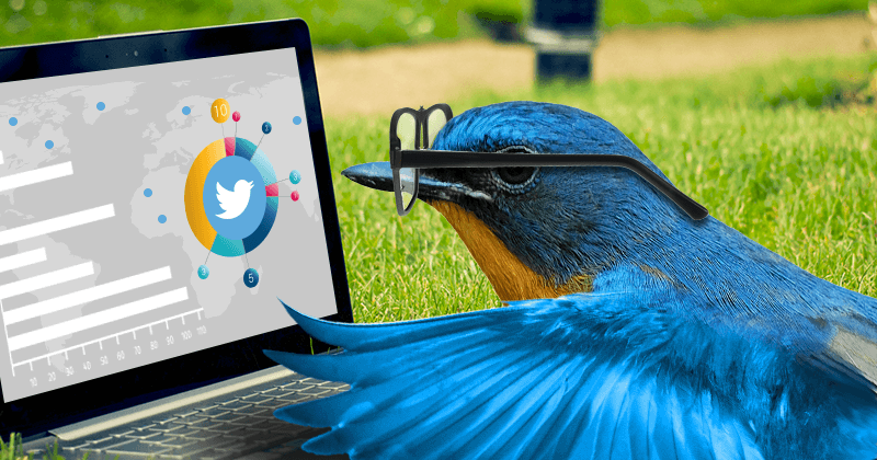 How to Create the Perfect Twitter Marketing Strategy