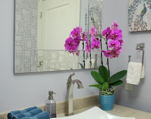 bathroom orchids