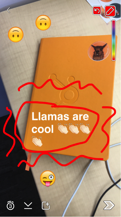 Snapchat_doodle.png