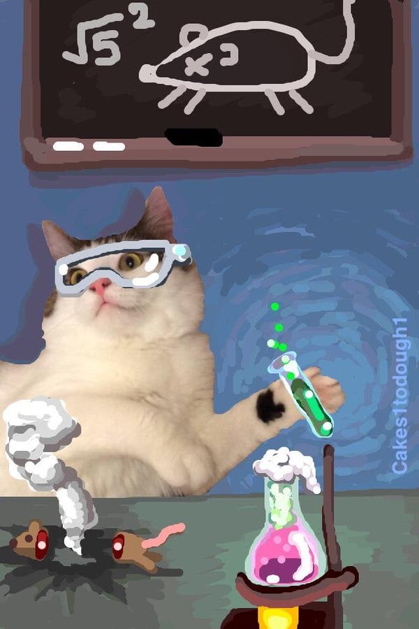 cat-scientist-snapchat.jpg