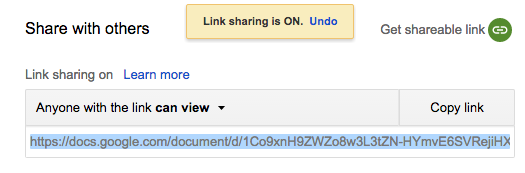 google-doc-anyone-with-link-can-view.png