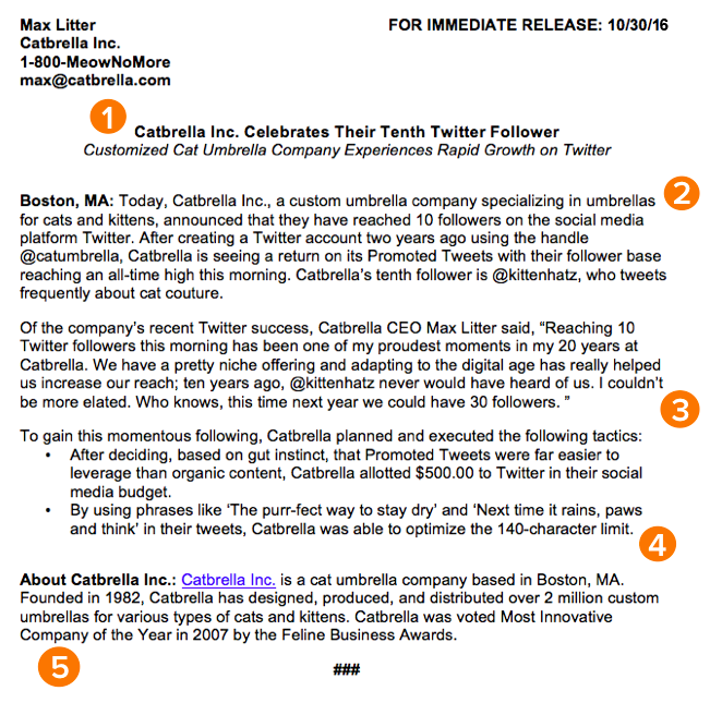 How to Write a Press Release [Free Press Release Template + Example]