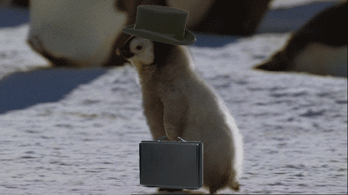 The_Deal_Maker_4.gif The_Deal_Maker_4.gif
