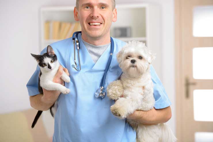How to Find an Animal Hospital