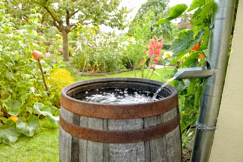 Rain_Barrel.jpg