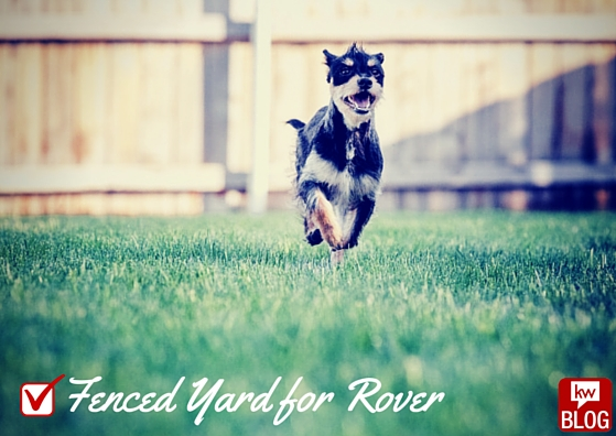 Sit. Stay. Sell. The Power of Pets in Real Estate