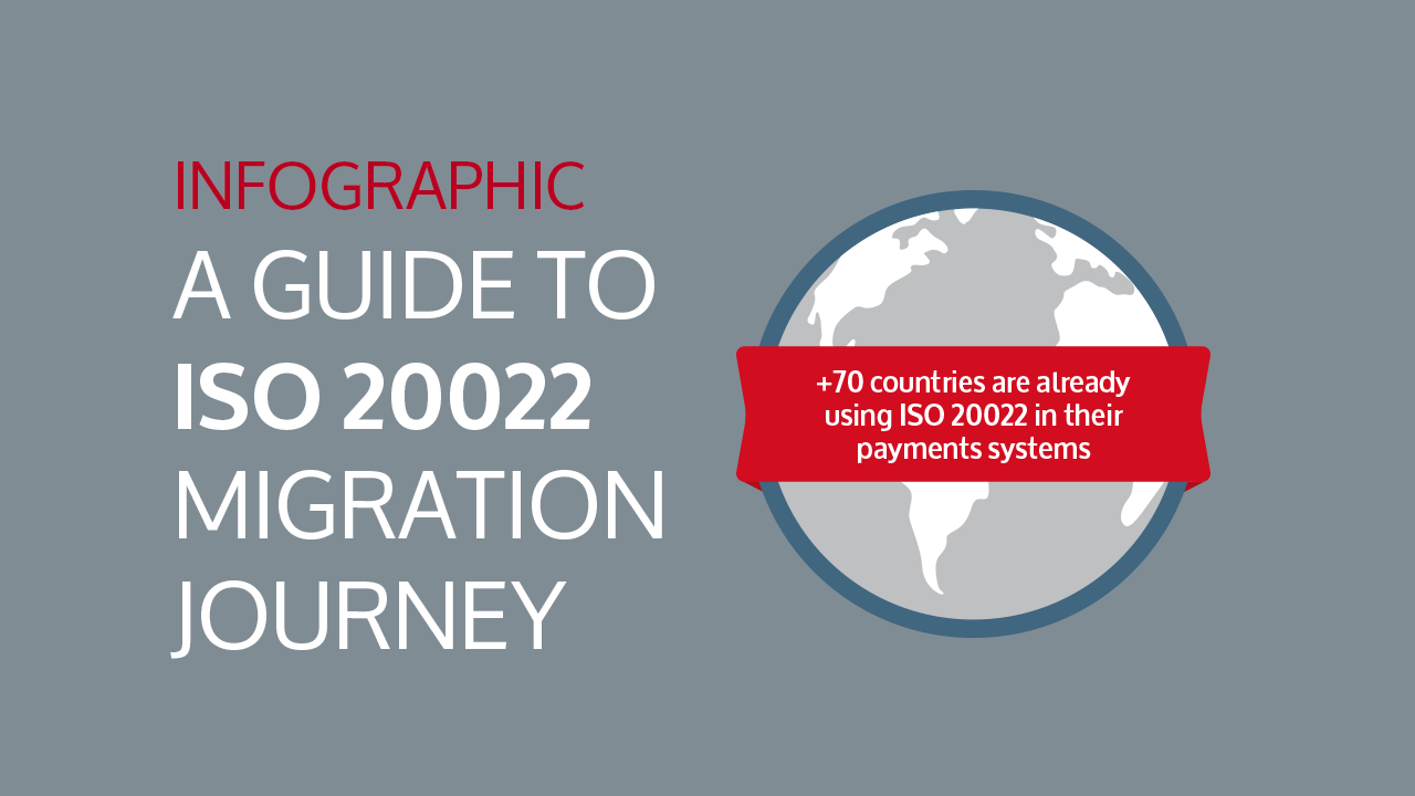 Iso Infographic A Guide To The Migration Journey