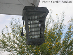 Bug_zapper_mosquito_control_myth_250.png