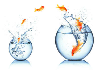 Business_Growth