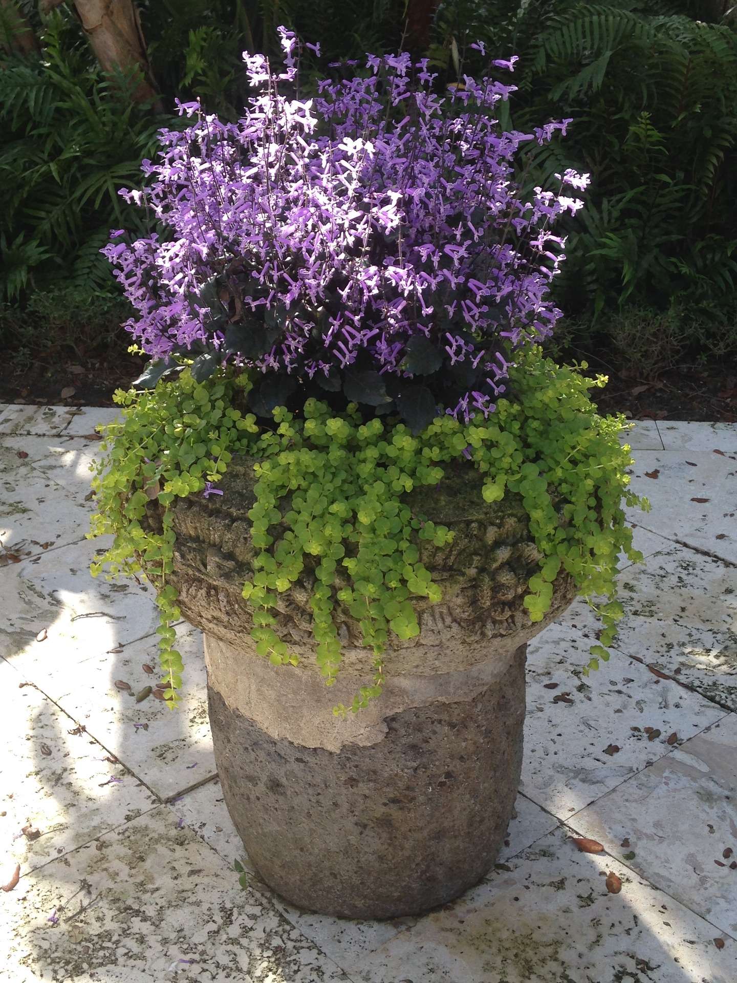 To Plant or Not to Plant? The Low-Down on Fabric Containers » Other »Holden  Forests & Gardens