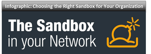 Infographic Choosing The Right Sandbox Solution For Your Organization Infographic Choosing The Right Sandbox Solution For Your Organization