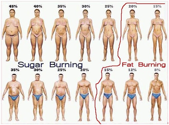 Ideal Body Fat Eprcentage Teen 108