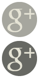Google+