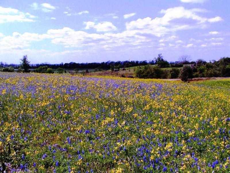 Brazos Valley Alchetron, The Free Social Encyclopedia