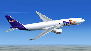 Dual Hemisphere Stallions - FedEx Jet.jpeg