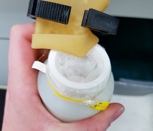 Seminal Plasma - Gel filter removal
