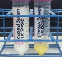 Should Frozen-Thawed Semen be Diluted Prior to Insemination - Dose Volume photo