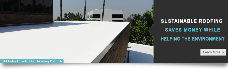 True Sustainable Roofing