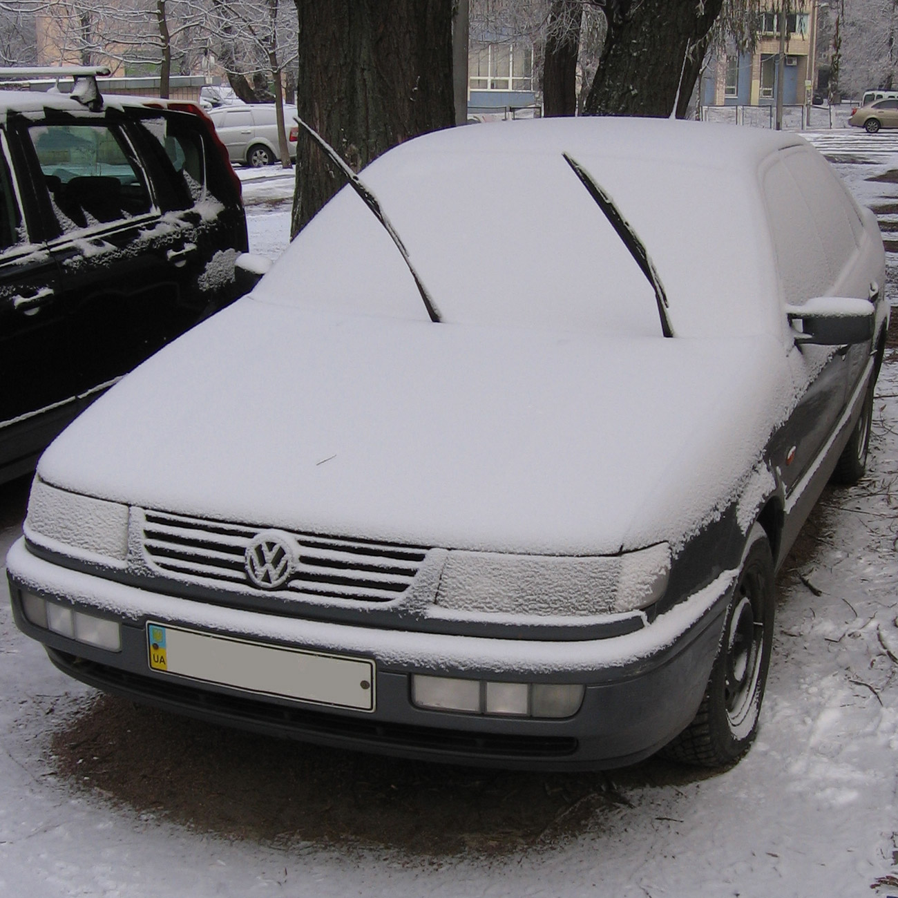 snow on car