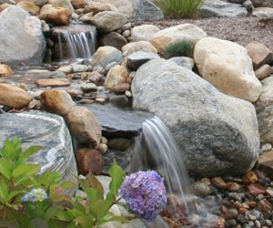 IV. Steps for Winterizing Water Features