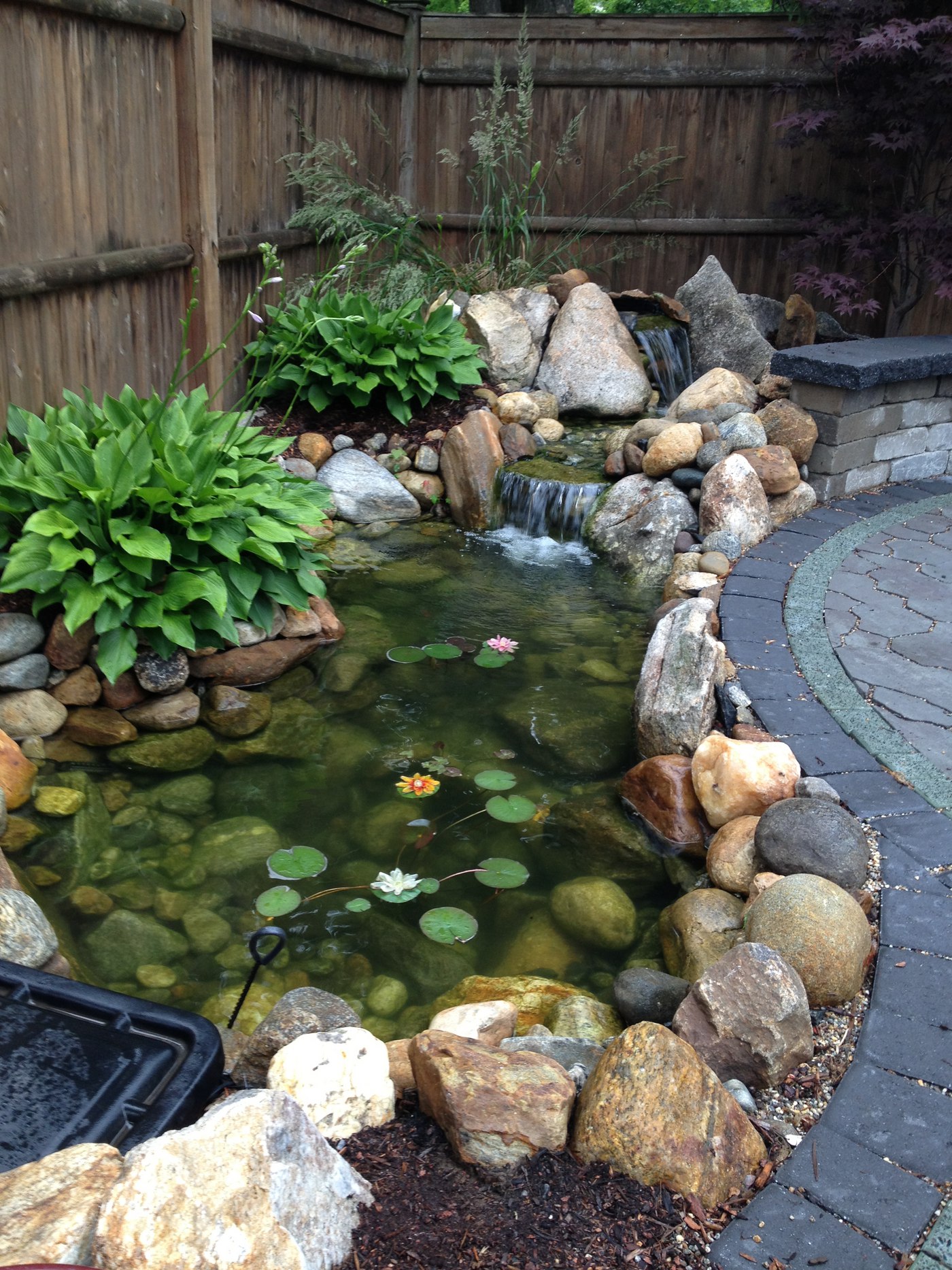 How to build a trout pond