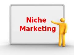 How To Develop A Niche Through Strategic Marketing