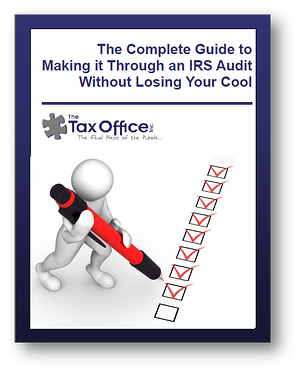 audit guide