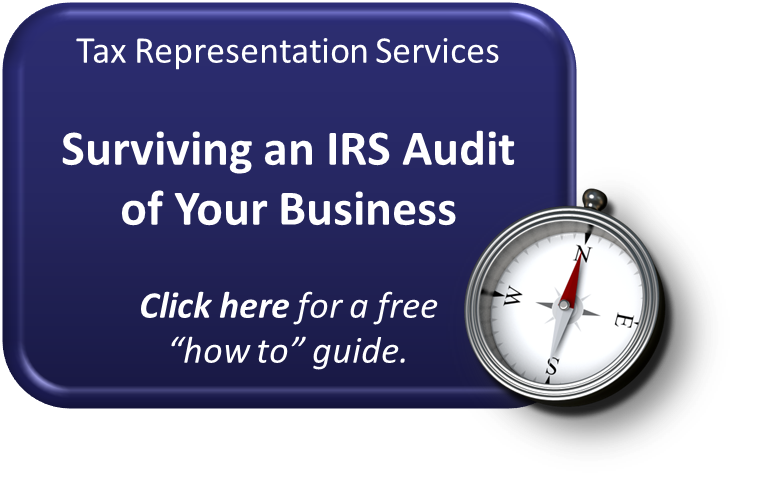 business tax audit
