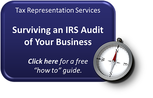 business audit