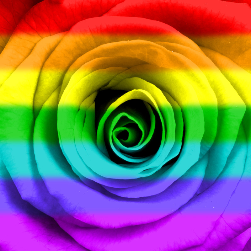 DOMA same sex marriage