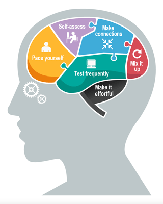 PQ3R PREVIEW, DEVELOP QUESTIONS, READ, RESPOND, REVIEW - MedStudy