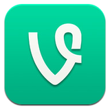 Creative Ways To Use Vine