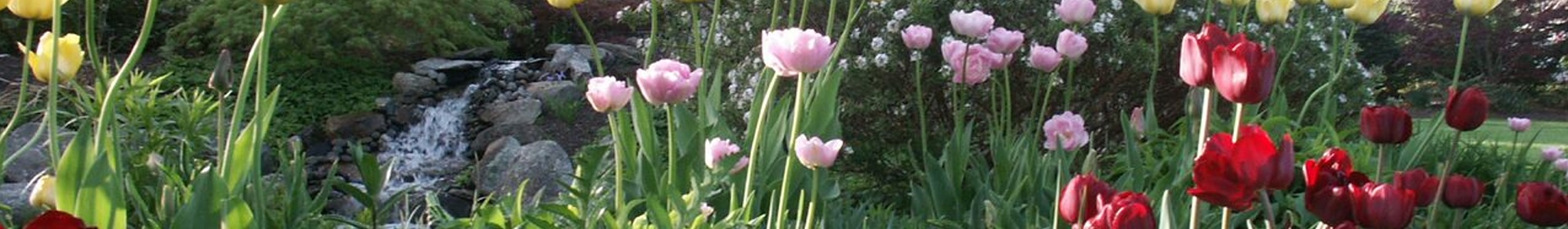floral_banner_3.jpg