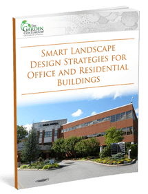 Design Strategies for Commercial Landscapes - A valuable guide for commercial property owners.