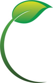 leaf.jpg