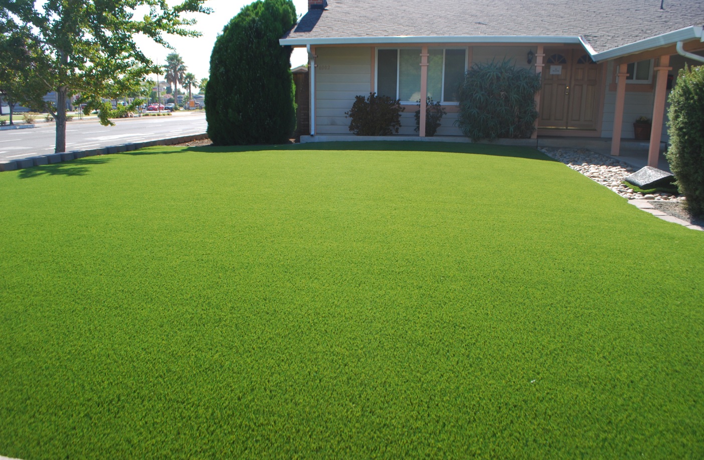 Turf grass store for yard