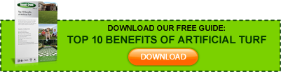 Download Our Free Guide: Top 10 Benefits of Artificial Turf