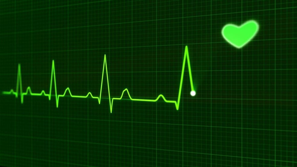 4 Life Saving Alternatives To Google Site Search In 2019 Impact