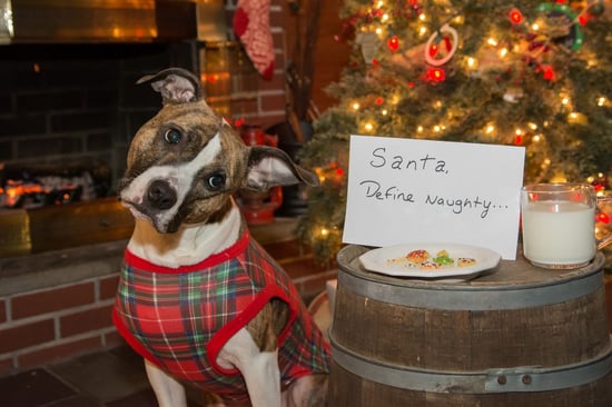 5 Ways to End Up on the Marketing Naughty List