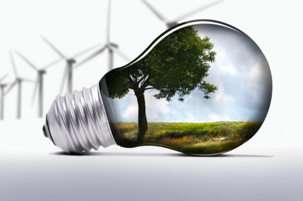 Reduce Your Company's Carbon Footprint with Green Technologies image