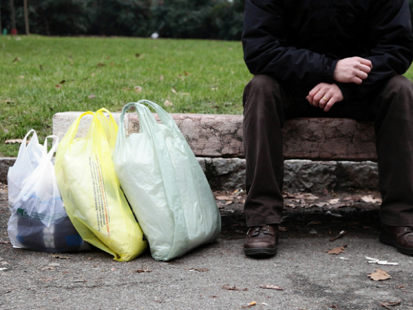 Plastic Bags: To Ban or Not to Ban? image