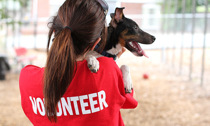 7 Steps to Success with Corporate Volunteerism - Featured Image