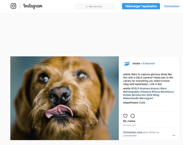 Wistia sur Instagram