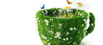La conciencia de una vida natural... ¿y orgánica?