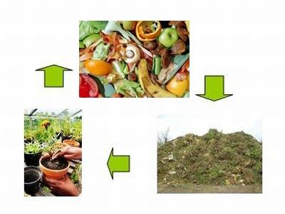 food waste recycling loop picture 4