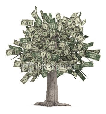 money tree resized 600