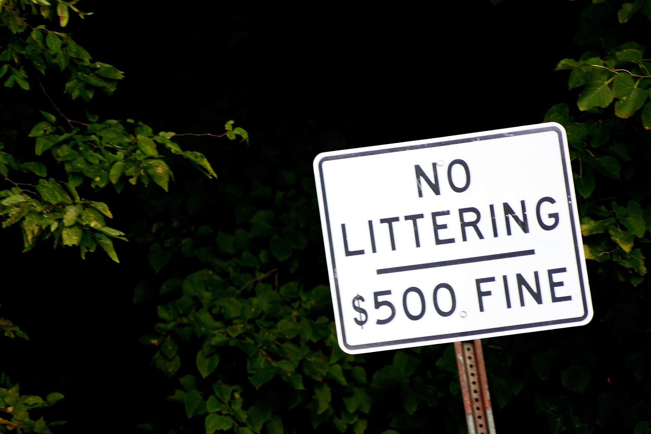 no littering - waste disposal in connecticut
