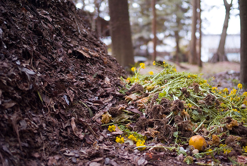 recycling in Connecticut composting