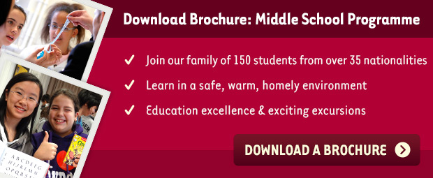Download Ebook: Middle School Programme CTA